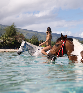 kai conversations with...cassandra kellogg, founder & ceo of minimale animale